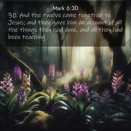 BBE Gospel of Mark 6:30 overlaying nature image scene: Wild orchids bloom in forest shade. Filtered light reveals their grace.;30. And the twelve came together to Jesus; and they gave him an account of all the things they had done, and all they had been teaching.