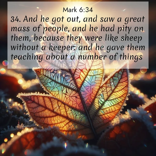 BBE Gospel of Mark 6:34 overlaying nature image scene: Frost crystals form intricate patterns on a fallen leaf. Morning sun transforms them into rainbow prisms.;34. And he got out, and saw a great mass of people, and he had pity on them, because they were like sheep without a keeper: and he gave them teaching about a number of things.