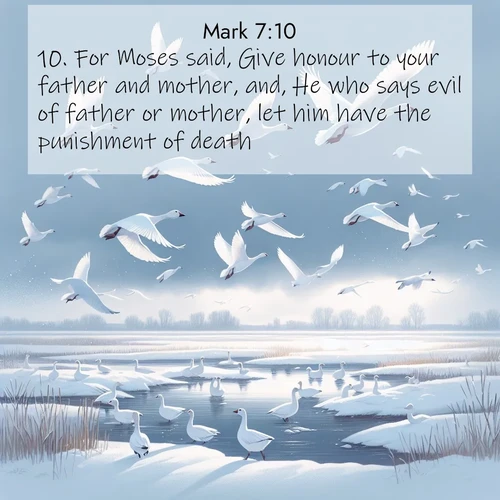 BBE Gospel of Mark 7:10 overlaying nature image scene: Snow geese take flight from a winter marsh. Their wings flash white against leaden skies.;10. For Moses said, Give honour to your father and mother, and, He who says evil of father or mother, let him have the punishment of death: