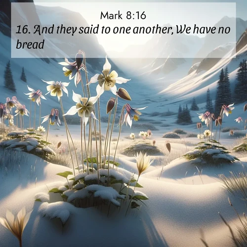 BasicEnglish Gospel of Mark  ; image nature: image with the bible verse :And they said to one another, We have no bread. ; Explore a rich collection of Bible verse images beautifully illustrated by natural landscapes, such as colorful skies, towering mountains, and tranquil rivers. The images highlight the serenity of God&#039;s creation with vivid tones and carefully chosen typography. Download and share inspiring verses like KJV Gospel of Mark 8:16. Current verse is overlayed with the thematic nature scene : Wild columbines nod in alpine breeze. Glacier lilies dot snowy meadows. ; 8:16