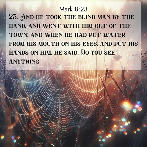 BasicEnglish Gospel of Mark  ; image nature: image with the bible verse :And he took the blind man by the hand, and went with him out of the town; and when he had put water from his mouth on his eyes, and put his hands on him, he said, Do you see anything? ; Browse a vast collection of Bible verse images featuring awe-inspiring landscapes such as calm lakes, vibrant sunsets, and peaceful fields. Download them for free and enjoy verses like KJV Gospel of Mark 8:23. Current verse is overlayed with the thematic nature scene : Morning fog reveals spider web galaxies. Dew drops catch rainbow light. ; 8:23