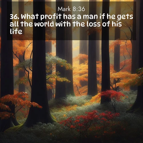 BasicEnglish Gospel of Mark  ; image nature: image with the bible verse :What profit has a man if he gets all the world with the loss of his life? ; Explore Bible verses paired with beach photos, where waves gently crash on the sand and the sky glows with pastel hues at sunset. These scenes convey deep serenity. Download verses like KJV Gospel of Mark 8:36. Current verse is overlayed with the thematic nature scene : Autumn rain darkens tree trunks in the forest. ; 8:36