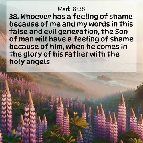 BasicEnglish Gospel of Mark  ; image nature: image with the bible verse :Whoever has a feeling of shame because of me and my words in this false and evil generation, the Son of man will have a feeling of shame because of him, when he comes in the glory of his Father with the holy angels. ; Browse beautiful Bible verse images accompanied by peaceful scenes like calm seas, ancient forests, and radiant horizons. Download high-quality, free images featuring verses such as KJV Gospel of Mark 8:38. Current verse is overlayed with the thematic nature scene : Wild lupines carpet coastal bluffs. Pacific fog rolls in like smoke. ; 8:38