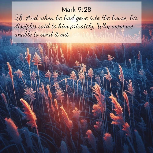 BasicEnglish Gospel of Mark  ; image nature: image with the bible verse :And when he had gone into the house, his disciples said to him privately, Why were we unable to send it out? ; Explore a winter collection of Bible verse images adorned with photos of icy landscapes, frozen waterfalls, and snow-covered forests. These scenes capture divine tranquility and purity. Download inspiring verses like KJV Gospel of Mark 9:28. Current verse is overlayed with the thematic nature scene : Winter sunrise illuminates frost-covered prairie grass. ; 9:28