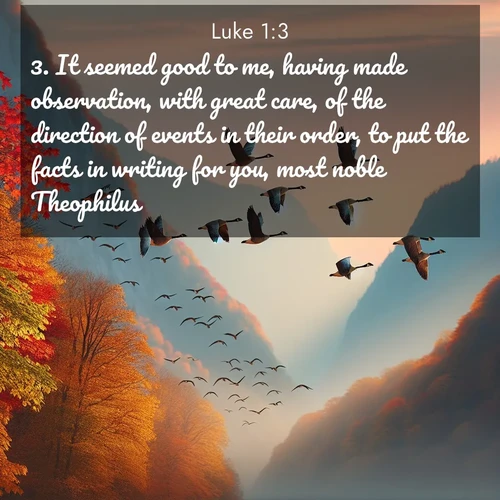 BBE 42 1:3