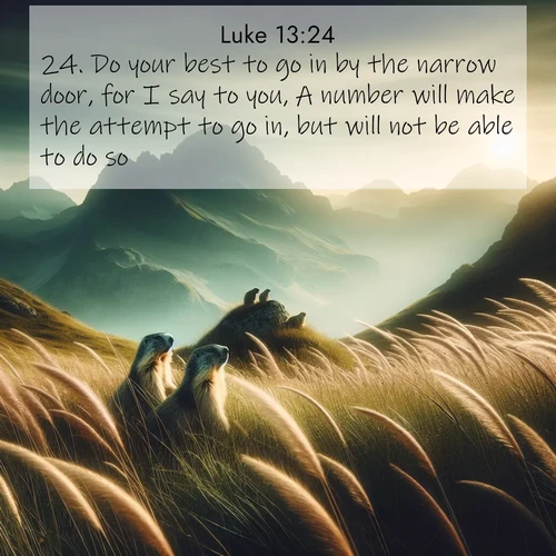 BBE Gospel of Luke 13:24 overlaying nature image scene: Mountain meadow grasses bend in wind. Marmots whistle from rocky outcrops.;24. Do your best to go in by the narrow door, for I say to you, A number will make the attempt to go in, but will not be able to do so.