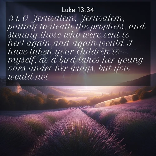 BBE Gospel of Luke 13:34 overlaying nature image scene: Lightning illuminates a field of lavender in the Provence countryside. Thunder rolls across the valley like distant drums.;34. O Jerusalem, Jerusalem, putting to death the prophets, and stoning those who were sent to her! again and again would I have taken your children to myself, as a bird takes her young ones under her wings, but you would not!
