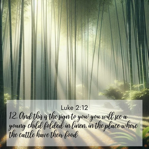 BasicEnglish Gospel of Luke  ; image nature: image with the bible verse :And this is the sign to you: you will see a young child folded in linen, in the place where the cattle have their food. ; Admire our autumnal collection of Bible verse images accompanied by photos of paths lined with red and yellow leaves, fiery forests, and calm rivers. These images inspire reflection and serenity. Share verses like KJV Gospel of Luke 2:12. Current verse is overlayed with the thematic nature scene : Bamboo forests cast striped shadows while a gentle rain patters on broad leaves. ; 2:12