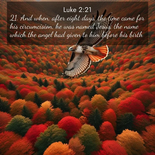 BasicEnglish Gospel of Luke  ; image nature: image with the bible verse :And when, after eight days, the time came for his circumcision, he was named Jesus, the name which the angel had given to him before his birth. ; Discover Bible images capturing the splendor of deserts, with golden dunes, vast skies, and peaceful oases. These landscapes highlight the grandeur and serenity of God&#039;s creation. Share verses like KJV Gospel of Luke 2:21. Current verse is overlayed with the thematic nature scene : A red-tailed hawk circles above autumn woods. Leaves below form a mosaic of fire. ; 2:21