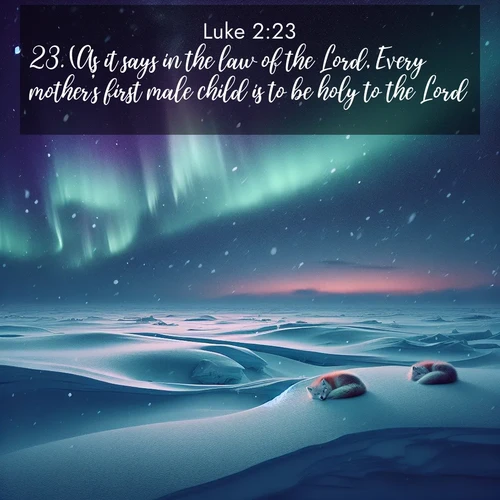 BasicEnglish Gospel of Luke  ; image nature: image with the bible verse :(As it says in the law of the Lord, Every mother&#039;s first male child is to be holy to the Lord), ; Discover Bible images capturing the splendor of deserts, with golden dunes, vast skies, and peaceful oases. These landscapes highlight the grandeur and serenity of God&#039;s creation. Share verses like KJV Gospel of Luke 2:23. Current verse is overlayed with the thematic nature scene : Northern lights dance across the frozen tundra in ribbons of green and purple. Snow falls silently on sleeping arctic foxes. ; 2:23