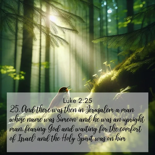 BasicEnglish Gospel of Luke  ; image nature: image with the bible verse :And there was then in Jerusalem a man whose name was Simeon; and he was an upright man, fearing God and waiting for the comfort of Israel: and the Holy Spirit was on him. ; Explore Bible verses paired with beach photos, where waves gently crash on the sand and the sky glows with pastel hues at sunset. These scenes convey deep serenity. Download verses like KJV Gospel of Luke 2:25. Current verse is overlayed with the thematic nature scene : A hermit thrush sings from deep woods. Sunlight filters through green canopy. ; 2:25