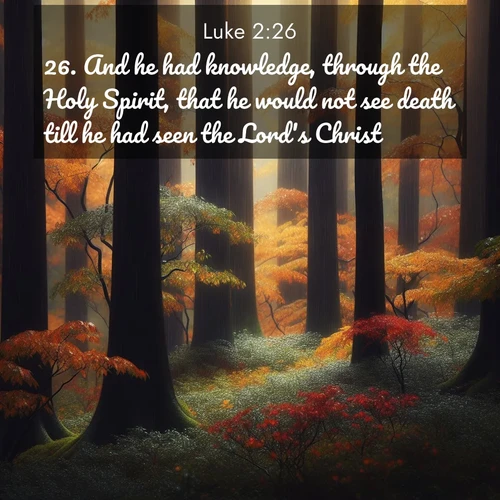 BasicEnglish Gospel of Luke  ; image nature: image with the bible verse :And he had knowledge, through the Holy Spirit, that he would not see death till he had seen the Lord&#039;s Christ. ; Explore free Bible verse images with stunning nature themes, including sunlit paths, forest clearings, and endless horizons. Perfect for desktop backgrounds or phone wallpapers. Verses include KJV Gospel of Luke 2:26. Current verse is overlayed with the thematic nature scene : Autumn rain darkens tree trunks in the forest. ; 2:26