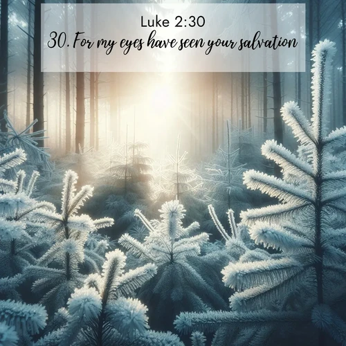 BasicEnglish Gospel of Luke  ; image nature: image with the bible verse :For my eyes have seen your salvation, ; Dive into our collection of Bible verses paired with coastal scenes, featuring calming waves, infinite beaches, and reflections of the sun on the water. These images evoke the peace and beauty of God. Share verses like KJV Gospel of Luke 2:30. Current verse is overlayed with the thematic nature scene : Morning frost rimes every pine needle. Weak winter sun struggles to pierce the forest. ; 2:30