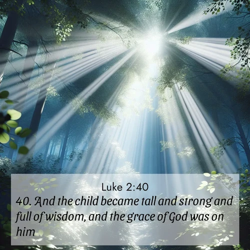 BasicEnglish Gospel of Luke  ; image nature: image with the bible verse :And the child became tall and strong and full of wisdom, and the grace of God was on him. ; Admire our gallery of Bible verse images paired with serene nature photography, featuring starlit skies, golden sands, and blooming wildflowers. Download and share verses like KJV Gospel of Luke 2:40. Current verse is overlayed with the thematic nature scene : Summer light filters through forest canopy like stained glass. ; 2:40
