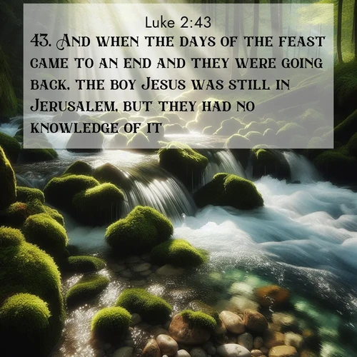 BasicEnglish Gospel of Luke  ; image nature: image with the bible verse :And when the days of the feast came to an end and they were going back, the boy Jesus was still in Jerusalem, but they had no knowledge of it: ; Discover a rich selection of Bible verse images illustrated by natural landscapes like tranquil beaches, golden fields, and majestic trees. These images aim to capture the peace and beauty of God&#039;s creation, with vibrant colors and varied typography. Download and share inspiring verses like KJV Gospel of Luke 2:43. Current verse is overlayed with the thematic nature scene : A mountain stream tumbles through moss-covered stones. Sunlight dapples the crystal-clear water. ; 2:43
