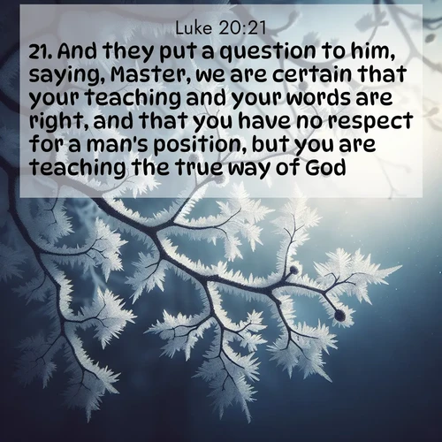 BBE Gospel of Luke 20:21 overlaying nature image scene: Winter frost coats bare branches in delicate crystal.;21. And they put a question to him, saying, Master, we are certain that your teaching and your words are right, and that you have no respect for a man's position, but you are teaching the true way of God: