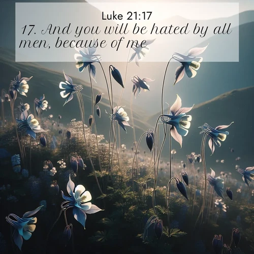 BasicEnglish Gospel of Luke  ; image nature: image with the bible verse :And you will be hated by all men, because of me. ; Browse beautiful Bible verse images accompanied by peaceful scenes like calm seas, ancient forests, and radiant horizons. Download high-quality, free images featuring verses such as KJV Gospel of Luke 21:17. Current verse is overlayed with the thematic nature scene : Wild columbines dance on impossibly thin stems. Mountain breezes carry their perfume. ; 21:17