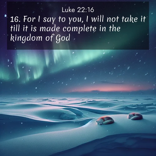 BBE Gospel of Luke 22:16 overlaying nature image scene: Northern lights dance across the frozen tundra in ribbons of green and purple. Snow falls silently on sleeping arctic foxes.;16. For I say to you, I will not take it till it is made complete in the kingdom of God.