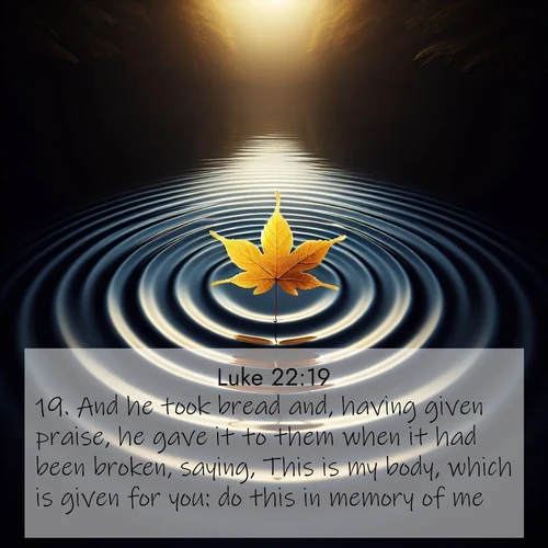 BBE Gospel of Luke 22:19 overlaying nature image scene: A single maple leaf floats on black water. Concentric ripples spread outward into infinity.;19. And he took bread and, having given praise, he gave it to them when it had been broken, saying, This is my body, which is given for you: do this in memory of me.