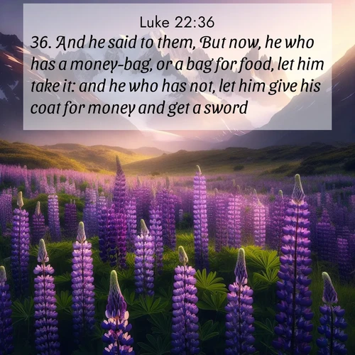 BBE Gospel of Luke 22:36 overlaying nature image scene: Wild lupines paint mountain meadows purple. Snow lingers on distant peaks.;36. And he said to them, But now, he who has a money-bag, or a bag for food, let him take it: and he who has not, let him give his coat for money and get a sword.
