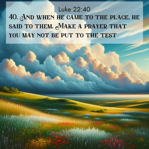 BBE Gospel of Luke 22:40 overlaying nature image scene: Summer thunderheads build over grasslands dotted with wildflowers.;40. And when he came to the place, he said to them, Make a prayer that you may not be put to the test.
