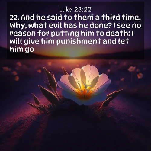 BasicEnglish Gospel of Luke  ; image nature: image with the bible verse :And he said to them a third time, Why, what evil has he done? I see no reason for putting him to death: I will give him punishment and let him go. ; Browse an inspiring gallery of Bible verse images with nature photos, such as blooming gardens, golden deserts, and shaded forests. The chosen images capture the peaceful and joyful essence of God&#039;s creation, with vibrant colors and harmonious fonts. Share verses like KJV Gospel of Luke 23:22. Current verse is overlayed with the thematic nature scene : Desert evening primrose opens to the setting sun. Stars emerge in the deepening purple sky. ; 23:22