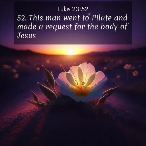 BasicEnglish Gospel of Luke  ; image nature: image with the bible verse :This man went to Pilate and made a request for the body of Jesus. ; Discover Bible images adorned with spring landscapes, like tulip fields, cherry blossoms, and green hills. These bright scenes symbolize God&#039;s renewal and grace. Download verses like KJV Gospel of Luke 23:52. Current verse is overlayed with the thematic nature scene : Desert evening primrose opens to the setting sun. Stars emerge in the deepening purple sky. ; 23:52