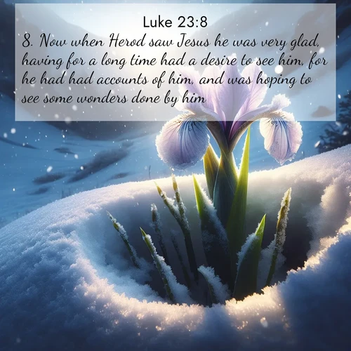 BasicEnglish Gospel of Luke  ; image nature: image with the bible verse :Now when Herod saw Jesus he was very glad, having for a long time had a desire to see him, for he had had accounts of him, and was hoping to see some wonders done by him. ; Discover our unique collection of Bible verse images integrated with photos showcasing the majesty of nature, such as rocky mountains, ancient trees, and crystal-clear lakes. These images feature luminous colors and text in varied fonts, reflecting the harmony of God&#039;s creation. Download verses like KJV Gospel of Luke 23:8. Current verse is overlayed with the thematic nature scene : Wild iris breaks through spring snow. Alpine light ignites petals. ; 23:8