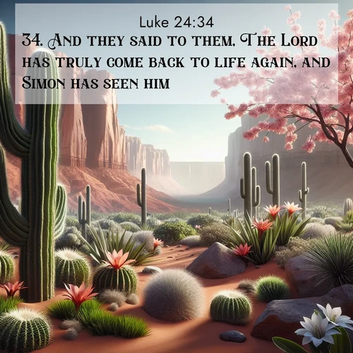 BBE Gospel of Luke 24:34 overlaying nature image scene: Desert cacti burst with spring blooms against red sandstone formations.;34. And they said to them, The Lord has truly come back to life again, and Simon has seen him.