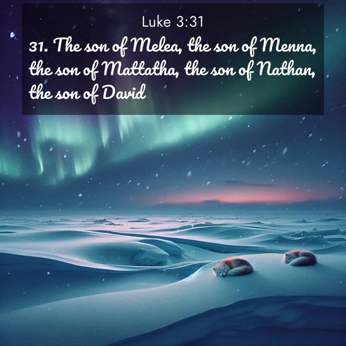 BBE Gospel of Luke 3:31 overlaying nature image scene: Northern lights dance across the frozen tundra in ribbons of green and purple. Snow falls silently on sleeping arctic foxes.;31. The son of Melea, the son of Menna, the son of Mattatha, the son of Nathan, the son of David,