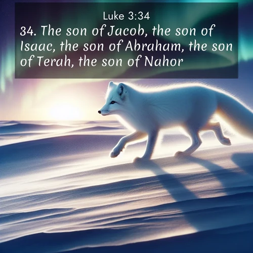 BBE Gospel of Luke 3:34 overlaying nature image scene: An arctic fox hunts across windswept tundra. Northern lights paint its white coat in pastels.;34. The son of Jacob, the son of Isaac, the son of Abraham, the son of Terah, the son of Nahor,