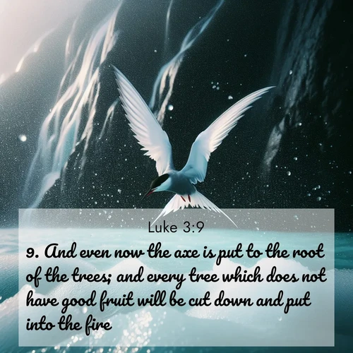BBE Gospel of Luke 3:9 overlaying nature image scene: Arctic terns dive through sea spray above turquoise glacial meltwater. Their white wings flash silver against obsidian cliffs.;9. And even now the axe is put to the root of the trees; and every tree which does not have good fruit will be cut down and put into the fire.
