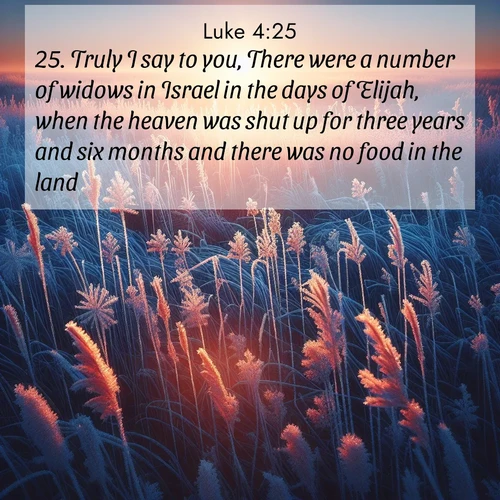 BBE Gospel of Luke 4:25 overlaying nature image scene: Winter sunrise illuminates frost-covered prairie grass.;25. Truly I say to you, There were a number of widows in Israel in the days of Elijah, when the heaven was shut up for three years and six months and there was no food in the land;