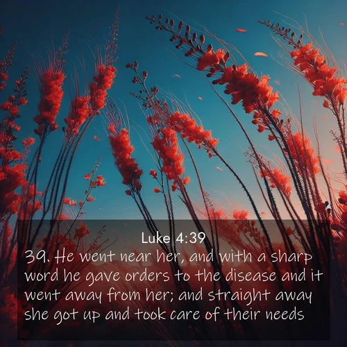 BBE Gospel of Luke 4:39 overlaying nature image scene: Desert ocotillo flames against blue sky. Wind sings through its scarlet blooms.;39. He went near her, and with a sharp word he gave orders to the disease and it went away from her; and straight away she got up and took care of their needs.