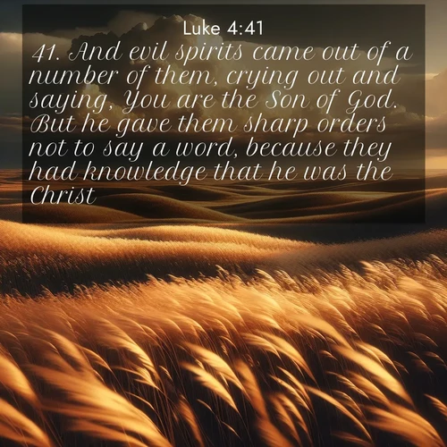 BBE Gospel of Luke 4:41 overlaying nature image scene: Prairie grass waves like a golden ocean. Storm clouds build towers on the horizon.;41. And evil spirits came out of a number of them, crying out and saying, You are the Son of God. But he gave them sharp orders not to say a word, because they had knowledge that he was the Christ.