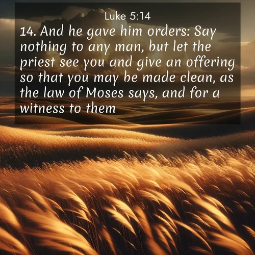 BasicEnglish Gospel of Luke  ; image nature: image with the bible verse :And he gave him orders: Say nothing to any man, but let the priest see you and give an offering so that you may be made clean, as the law of Moses says, and for a witness to them. ; Explore free Bible verse images with stunning nature themes, including sunlit paths, forest clearings, and endless horizons. Perfect for desktop backgrounds or phone wallpapers. Verses include KJV Gospel of Luke 5:14. Current verse is overlayed with the thematic nature scene : Prairie grass waves like a golden ocean. Storm clouds build towers on the horizon. ; 5:14