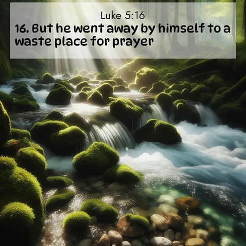 BasicEnglish Gospel of Luke  ; image nature: image with the bible verse :But he went away by himself to a waste place for prayer. ; Admire Bible images representing autumn, with swirling leaves, misty skies, and vibrant trees. These images inspire profound spiritual reflection. Download and share verses like KJV Gospel of Luke 5:16. Current verse is overlayed with the thematic nature scene : A mountain stream tumbles through moss-covered stones. Sunlight dapples the crystal-clear water. ; 5:16