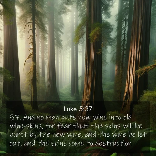 BasicEnglish Gospel of Luke  ; image nature: image with the bible verse :And no man puts new wine into old wine-skins, for fear that the skins will be burst by the new wine, and the wine be let out, and the skins come to destruction. ; Admire our gallery of Bible verse images showcasing divine beauty in nature—whether snowy peaks or serene oceans. Each image is freely downloadable and perfect for personal or spiritual use. Share verses like KJV Gospel of Luke 5:37. Current verse is overlayed with the thematic nature scene : Coastal redwoods disappear into the fog high above a fern grove. ; 5:37