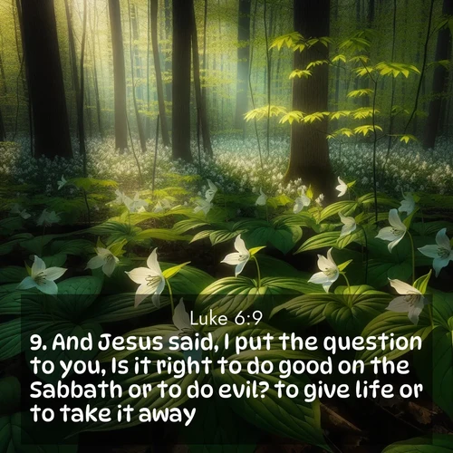 BBE Gospel of Luke 6:9 overlaying nature image scene: Wild trillium carpets the forest floor. Sunlight filters green through new spring leaves.;9. And Jesus said, I put the question to you, Is it right to do good on the Sabbath or to do evil? to give life or to take it away?