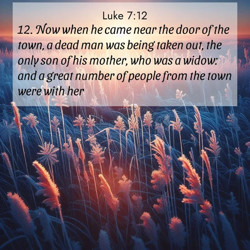 BBE Gospel of Luke 7:12 overlaying nature image scene: Winter sunrise illuminates frost-covered prairie grass.;12. Now when he came near the door of the town, a dead man was being taken out, the only son of his mother, who was a widow: and a great number of people from the town were with her.
