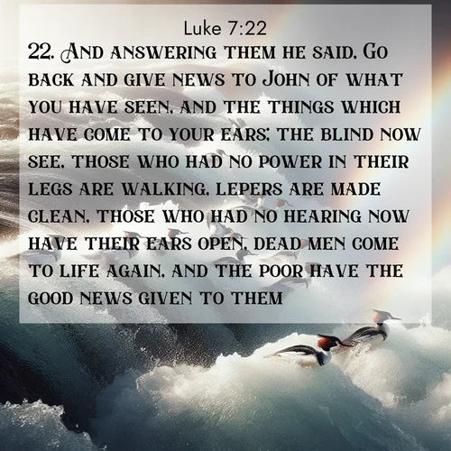 BBE Gospel of Luke 7:22 overlaying nature image scene: Wild mergansers ride white water rapids. Spray creates endless rainbows.;22. And answering them he said, Go back and give news to John of what you have seen, and the things which have come to your ears; the blind now see, those who had no power in their legs are walking, lepers are made clean, those who had no hearing now have their ears open, dead men come to life again, and the poor have the good news given to them.