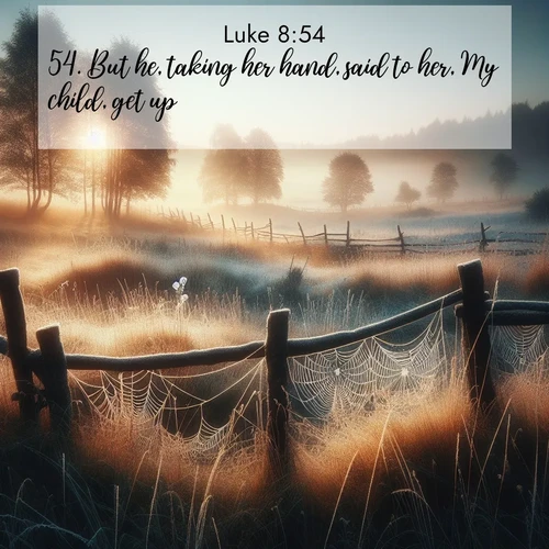 BasicEnglish Gospel of Luke  ; image nature: image with the bible verse :But he, taking her hand, said to her, My child, get up. ; Explore a unique collection of Bible verses illustrated by winter landscapes, such as snowy mountains, frosty forests, and starry skies. These images capture the peace and beauty of winter. Share verses like KJV Gospel of Luke 8:54. Current verse is overlayed with the thematic nature scene : Morning frost coats spider webs stretched between fence posts in a country meadow. ; 8:54