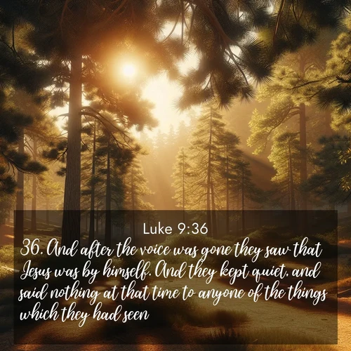 BBE Gospel of Luke 9:36 overlaying nature image scene: Summer heat brings out the scent of pine needles.;36. And after the voice was gone they saw that Jesus was by himself. And they kept quiet, and said nothing at that time to anyone of the things which they had seen.