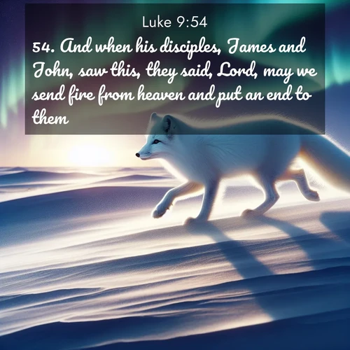 BBE Gospel of Luke 9:54 overlaying nature image scene: An arctic fox hunts across windswept tundra. Northern lights paint its white coat in pastels.;54. And when his disciples, James and John, saw this, they said, Lord, may we send fire from heaven and put an end to them?