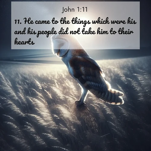 BBE Gospel of John 1:11 overlaying nature image scene: A barn owl quarters silent fields. Moonlight turns meadow grass to silver.;11. He came to the things which were his and his people did not take him to their hearts.