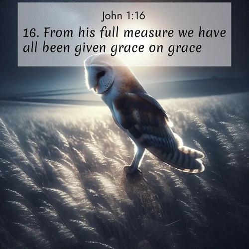 BBE Gospel of John 1:16 overlaying nature image scene: A barn owl quarters silent fields. Moonlight turns meadow grass to silver.;16. From his full measure we have all been given grace on grace.