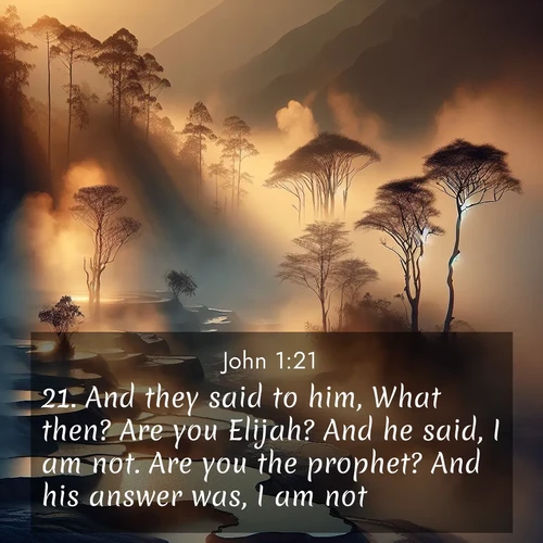 BBE Gospel of John 1:21 overlaying nature image scene: Morning mist rises from thermal pools. Steam dragons dance in golden light.;21. And they said to him, What then? Are you Elijah? And he said, I am not. Are you the prophet? And his answer was, I am not.