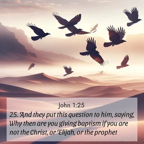 BBE Gospel of John 1:25 overlaying nature image scene: Desert ravens soar on thermal currents. Their wings wear shadows like cloaks.;25. And they put this question to him, saying, Why then are you giving baptism if you are not the Christ, or Elijah, or the prophet?