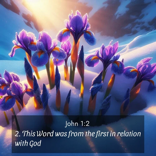 BBE 43 1:2