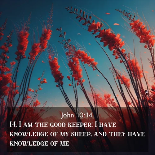 BBE Gospel of John 10:14 overlaying nature image scene: Desert ocotillo flames against blue sky. Wind sings through its scarlet blooms.;14. I am the good keeper; I have knowledge of my sheep, and they have knowledge of me,